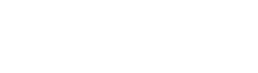 Summarie Logo